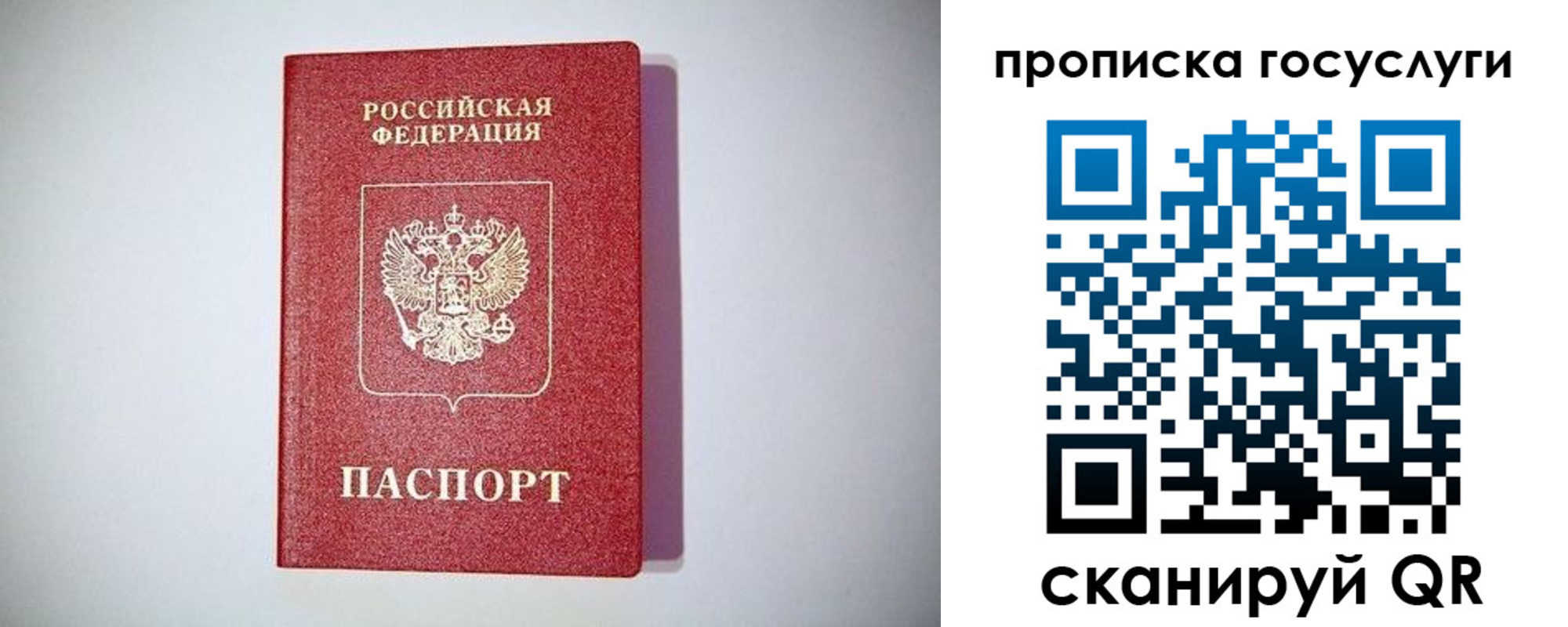 временная регистрация госуслуги в Курганской области